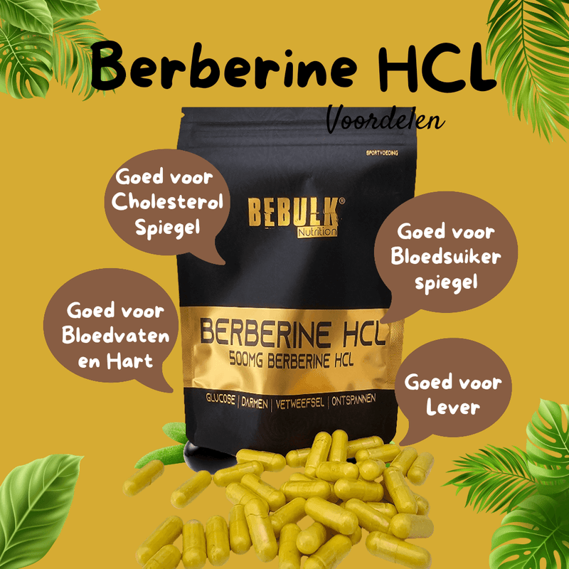 Berbérine HCL 97% 500mg - Végétalien - 90 Capsules - OstroVit